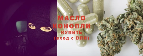соль ск Елабуга