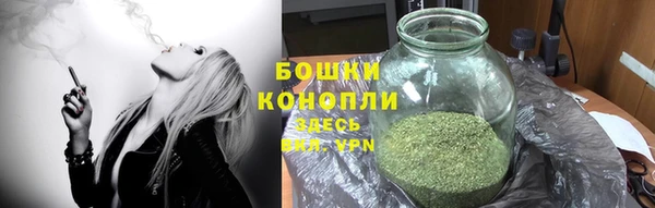 соль ск Елабуга