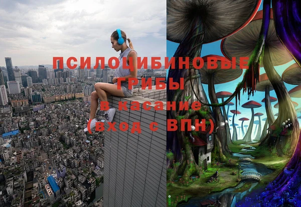ПСИЛОЦИБИНОВЫЕ ГРИБЫ Ельня
