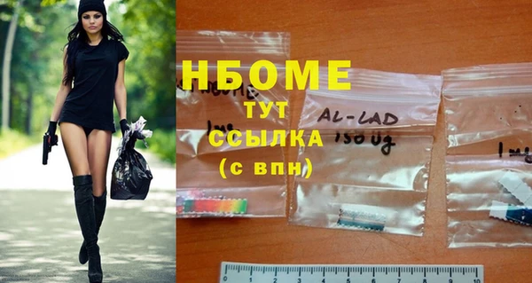 ПСИЛОЦИБИНОВЫЕ ГРИБЫ Ельня