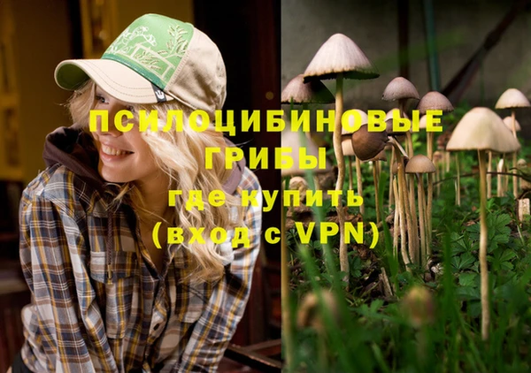 соль ск Елабуга