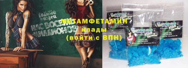 ПСИЛОЦИБИНОВЫЕ ГРИБЫ Ельня